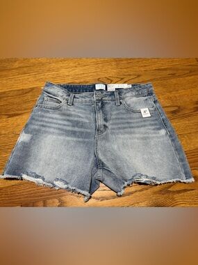 Time and Tru Faded Blue Distressed Denim Shorts - Women